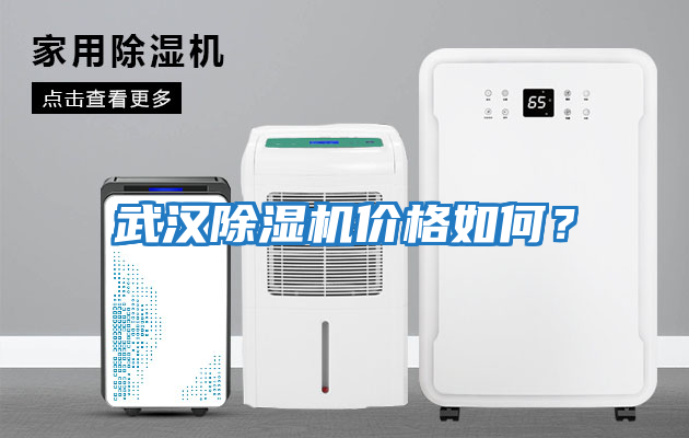 武漢除濕機價格如何？