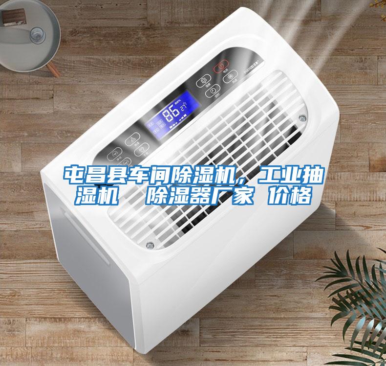 屯昌縣車間除濕機，工業抽濕機  除濕器廠家 價格