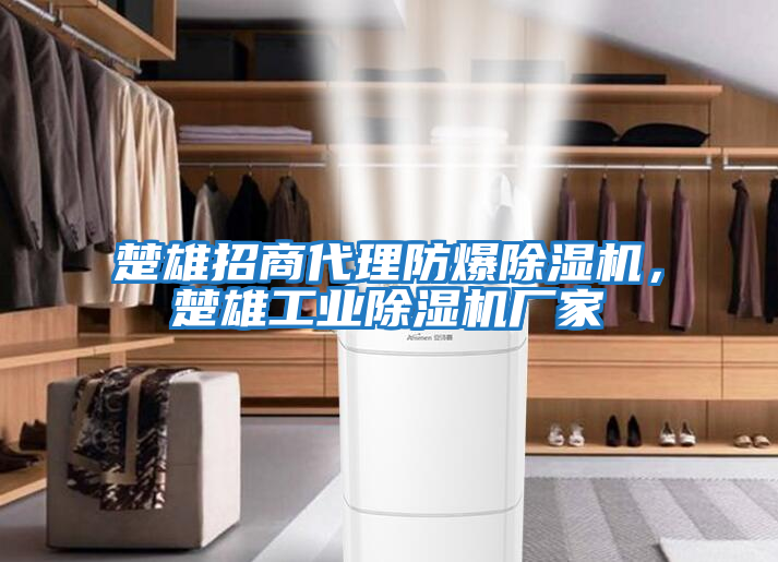 楚雄招商代理防爆除濕機，楚雄工業除濕機廠家