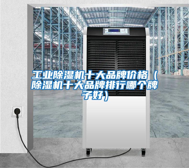 工業(yè)除濕機(jī)十大品牌價(jià)格（除濕機(jī)十大品牌排行哪個(gè)牌子好）