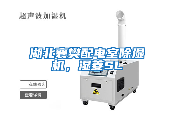 湖北襄樊配電室除濕機(jī)，濕菱SL
