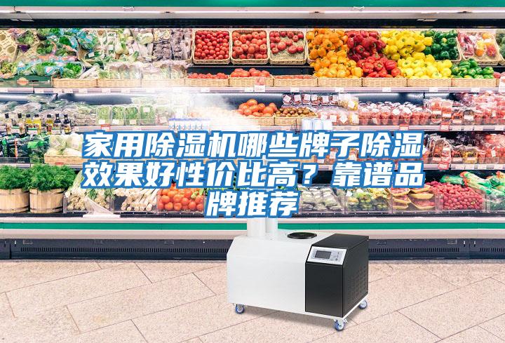 家用除濕機(jī)哪些牌子除濕效果好性價(jià)比高？靠譜品牌推薦