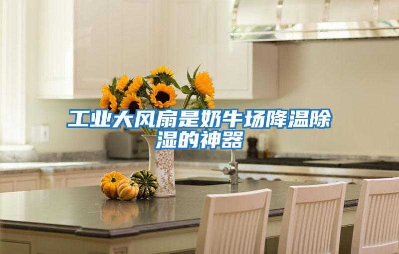 工業(yè)大風扇是奶牛場降溫除濕的神器