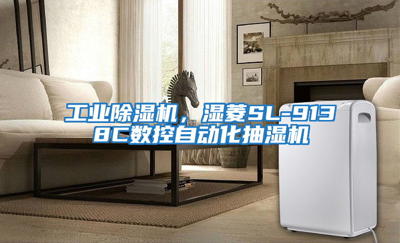 工業(yè)除濕機(jī)，濕菱SL-9138C數(shù)控自動(dòng)化抽濕機(jī)