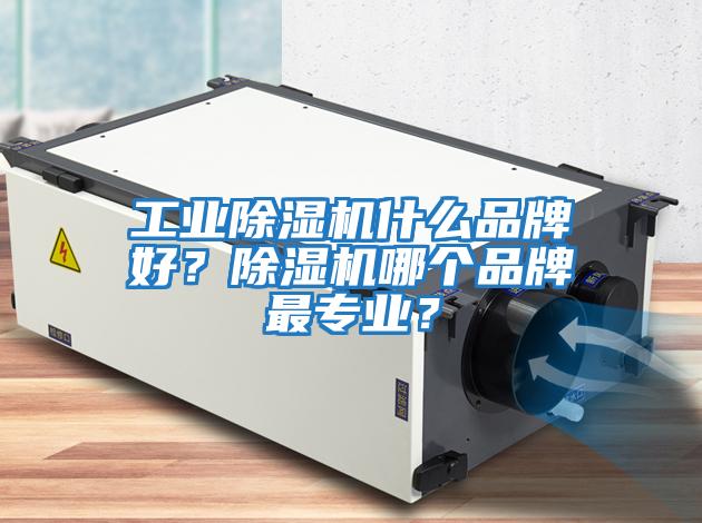 工業(yè)除濕機(jī)什么品牌好？除濕機(jī)哪個(gè)品牌最專業(yè)？