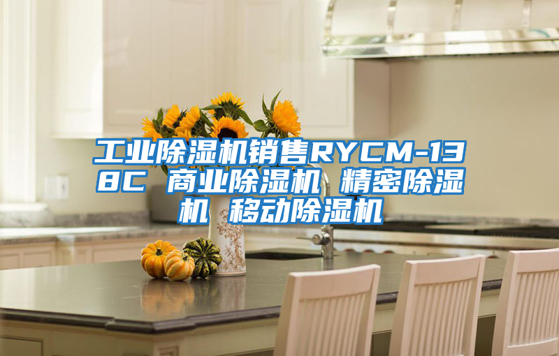工業(yè)除濕機(jī)銷(xiāo)售RYCM-138C 商業(yè)除濕機(jī) 精密除濕機(jī) 移動(dòng)除濕機(jī)