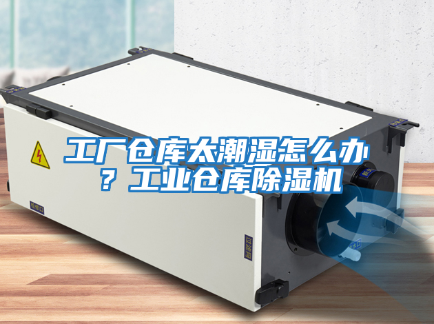 工廠倉庫太潮濕怎么辦？工業倉庫除濕機