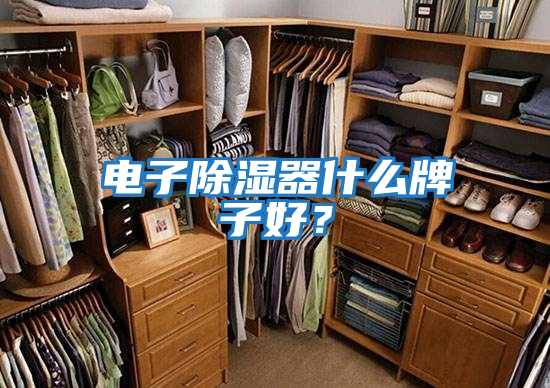 電子除濕器什么牌子好？