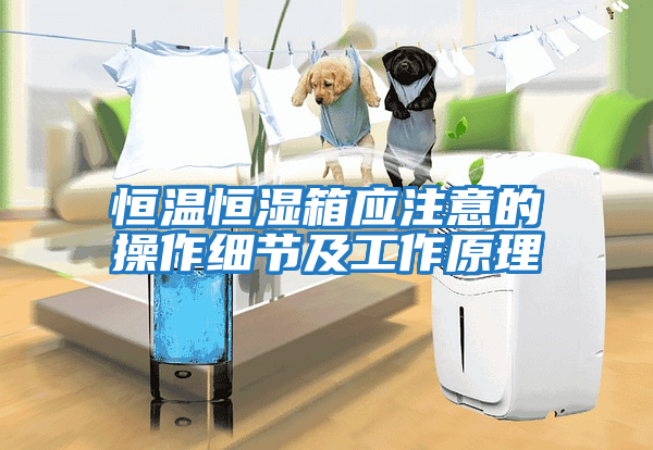 恒溫恒濕箱應注意的操作細節(jié)及工作原理