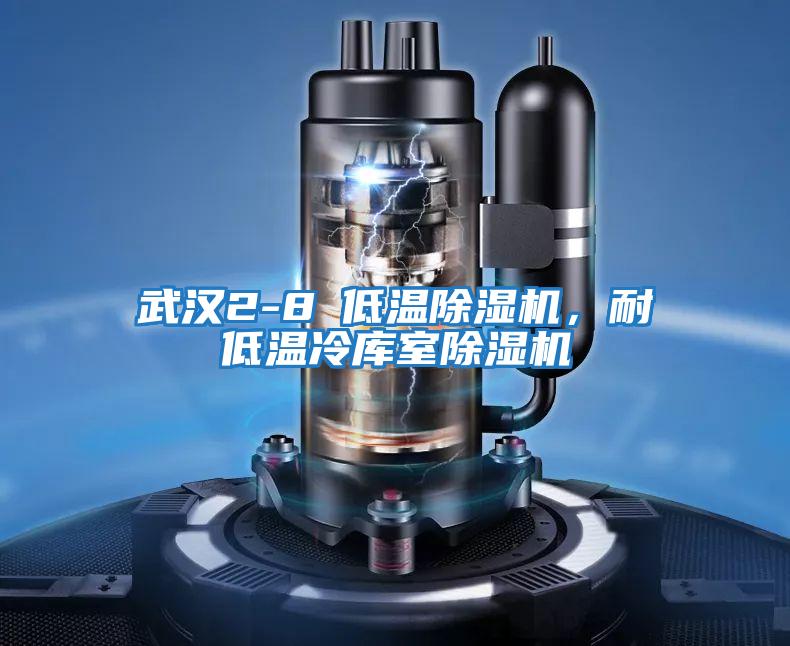 武漢2-8℃低溫除濕機(jī)，耐低溫冷庫室除濕機(jī)
