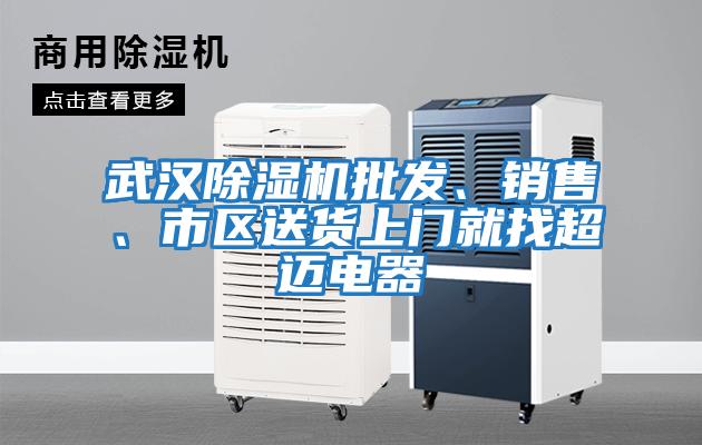 武漢除濕機批發、銷售、市區送貨上門就找超邁電器