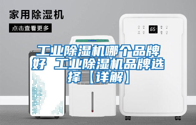 工業(yè)除濕機哪個品牌好 工業(yè)除濕機品牌選擇【詳解】