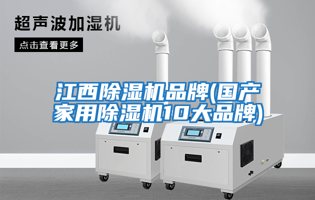 江西除濕機(jī)品牌(國產(chǎn)家用除濕機(jī)10大品牌)