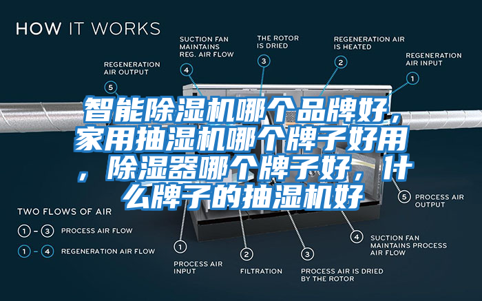 智能除濕機(jī)哪個(gè)品牌好，家用抽濕機(jī)哪個(gè)牌子好用，除濕器哪個(gè)牌子好，什么牌子的抽濕機(jī)好