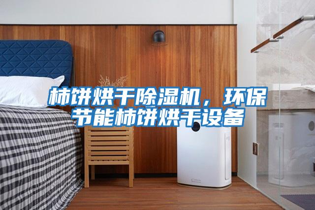 柿餅烘干除濕機，環保節能柿餅烘干設備