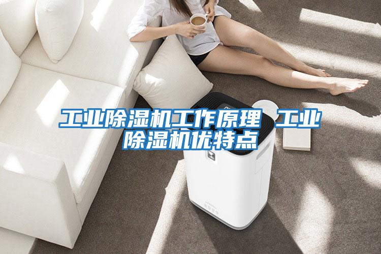 工業(yè)除濕機(jī)工作原理 工業(yè)除濕機(jī)優(yōu)特點