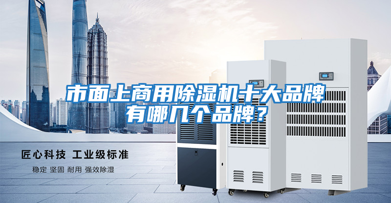 市面上商用除濕機(jī)十大品牌有哪幾個(gè)品牌？