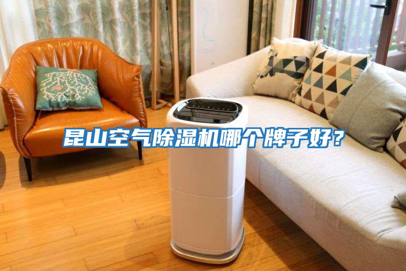 昆山空氣除濕機哪個牌子好？