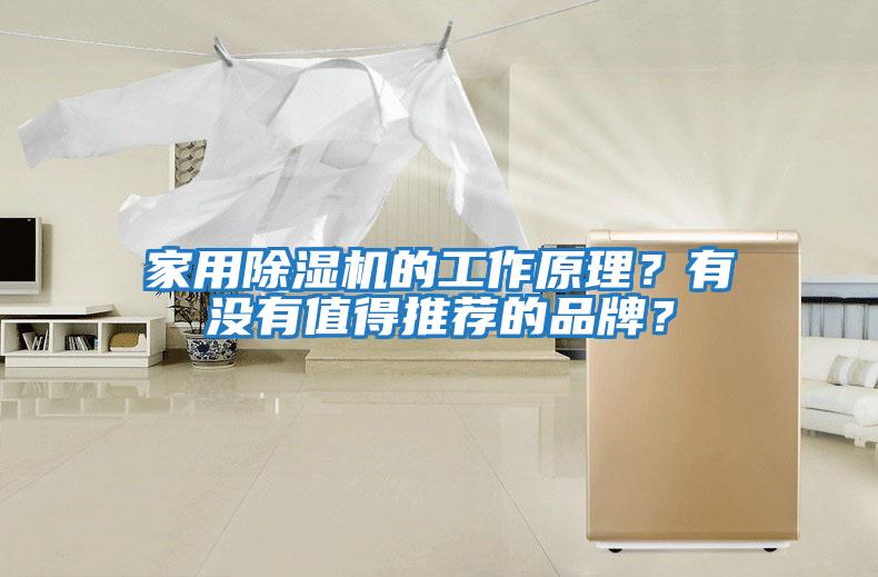 家用除濕機(jī)的工作原理？有沒(méi)有值得推薦的品牌？