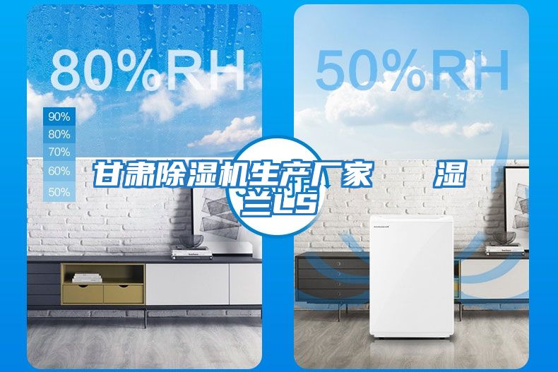 甘肅除濕機(jī)生產(chǎn)廠(chǎng)家   濕蘭LS