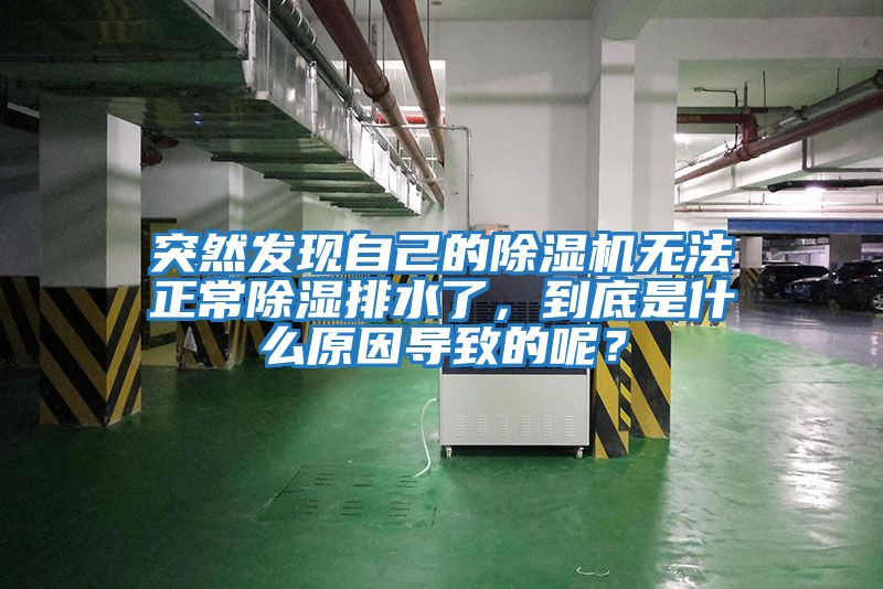 突然發(fā)現(xiàn)自己的除濕機(jī)無法正常除濕排水了，到底是什么原因?qū)е碌哪兀?/></p>
						    <p style=