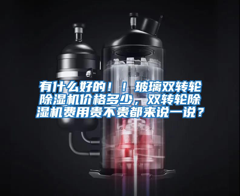 有什么好的??！玻璃雙轉(zhuǎn)輪除濕機價格多少，雙轉(zhuǎn)輪除濕機費用貴不貴都來說一說？