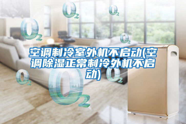 空調(diào)制冷室外機(jī)不啟動(空調(diào)除濕正常制冷外機(jī)不啟動)
