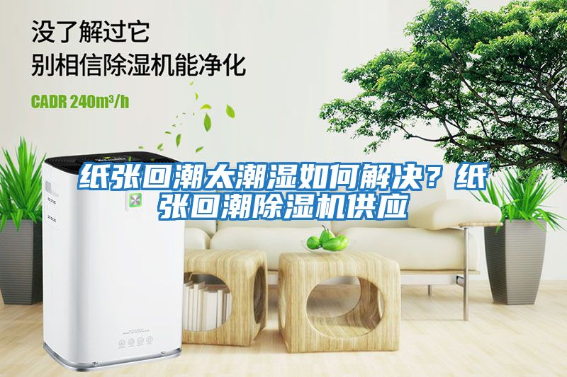 紙張回潮太潮濕如何解決？紙張回潮除濕機供應(yīng)