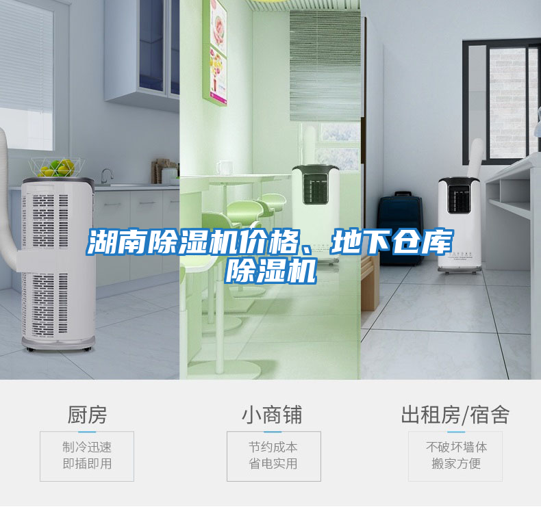 湖南除濕機(jī)價(jià)格、地下倉庫除濕機(jī)