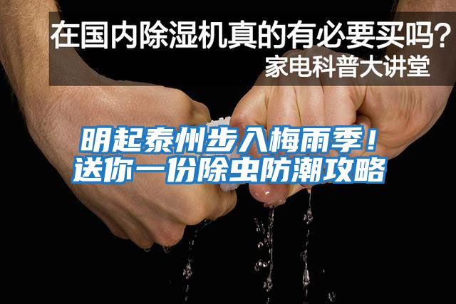 明起泰州步入梅雨季！送你一份除蟲防潮攻略