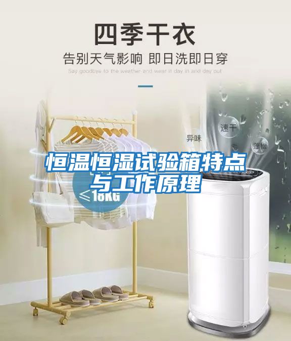 恒溫恒濕試驗箱特點(diǎn)與工作原理