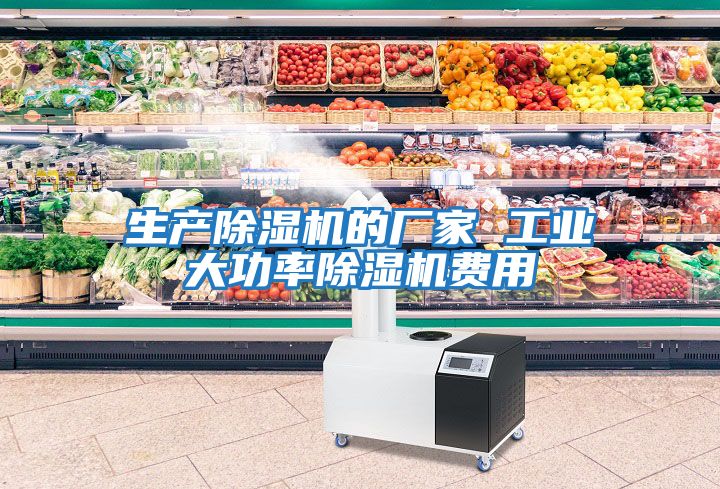 生產(chǎn)除濕機(jī)的廠(chǎng)家 工業(yè)大功率除濕機(jī)費(fèi)用