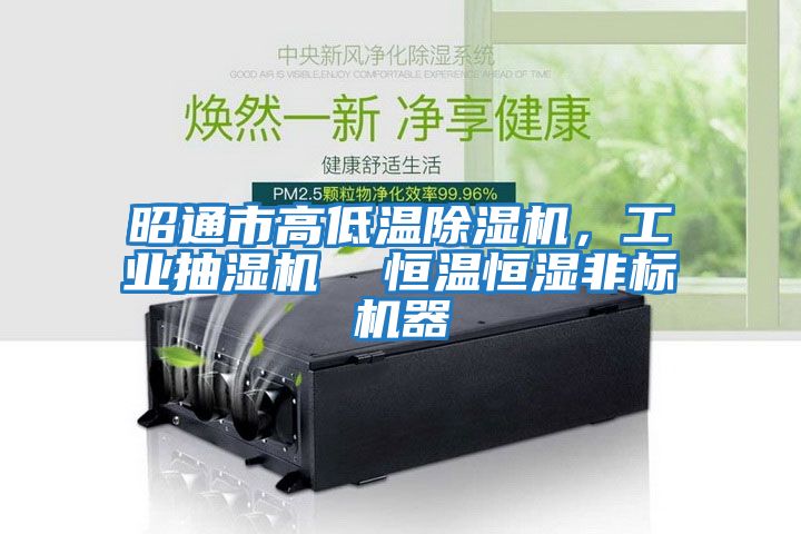 昭通市高低溫除濕機，工業抽濕機  恒溫恒濕非標機器