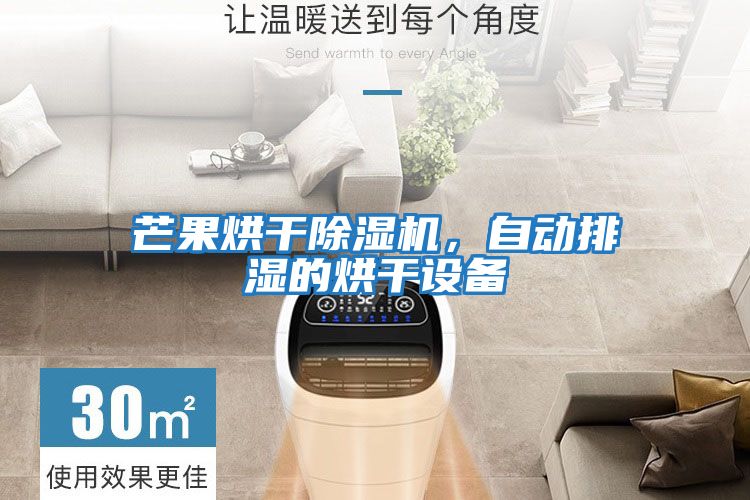 芒果烘干除濕機(jī)，自動(dòng)排濕的烘干設(shè)備