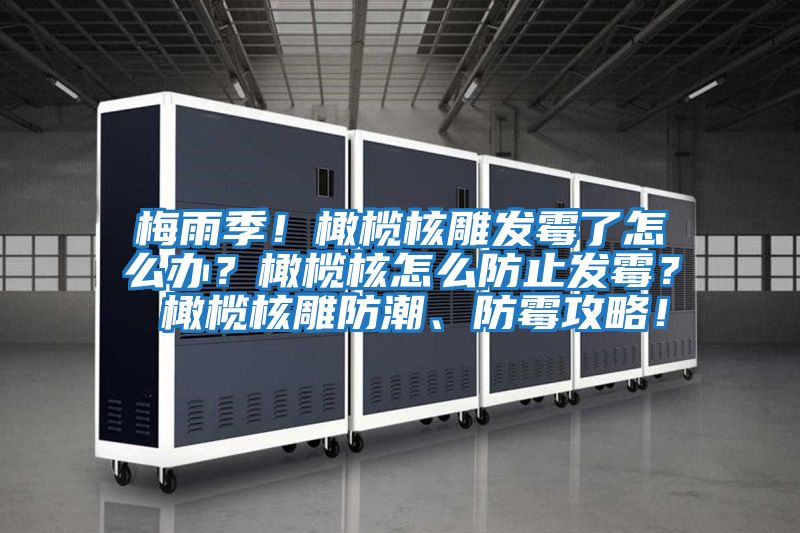 梅雨季！橄欖核雕發霉了怎么辦？橄欖核怎么防止發霉？ 橄欖核雕防潮、防霉攻略！