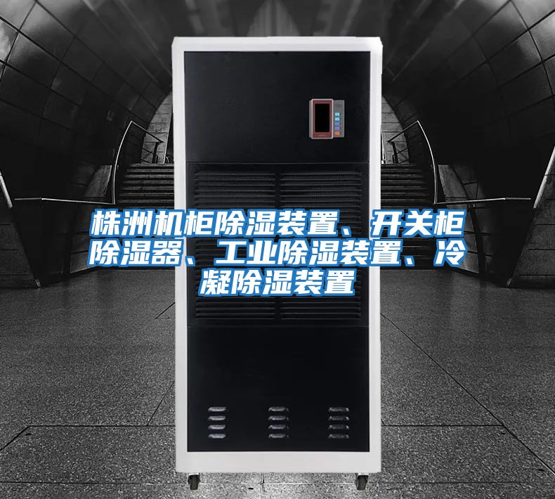 株洲機(jī)柜除濕裝置、開(kāi)關(guān)柜除濕器、工業(yè)除濕裝置、冷凝除濕裝置