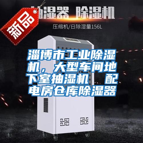 淄博市工業(yè)除濕機(jī)，大型車(chē)間地下室抽濕機(jī)  配電房倉(cāng)庫(kù)除濕器
