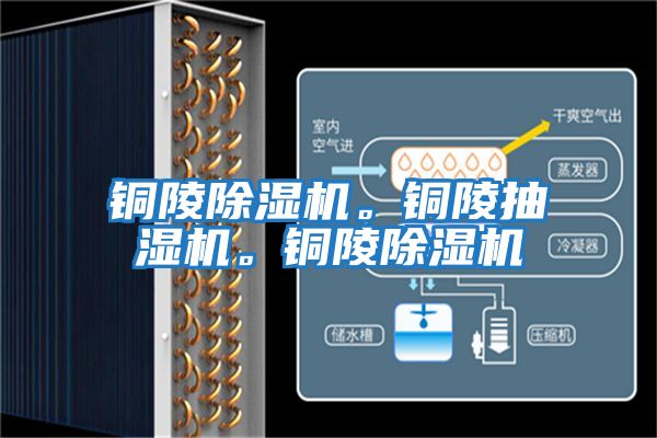 銅陵除濕機(jī)。銅陵抽濕機(jī)。銅陵除濕機(jī)