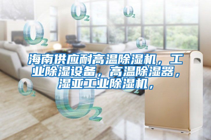 海南供應耐高溫除濕機，工業除濕設備，高溫除濕器，濕亞工業除濕機，