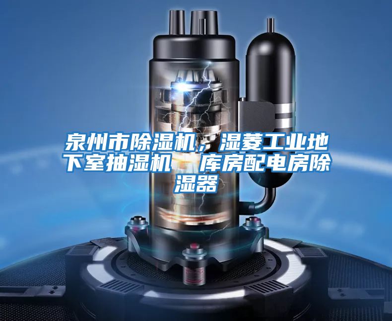 泉州市除濕機，濕菱工業(yè)地下室抽濕機  庫房配電房除濕器