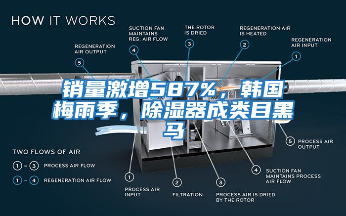 銷量激增587%，韓國梅雨季，除濕器成類目黑馬