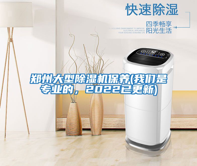 鄭州大型除濕機(jī)保養(yǎng)(我們是專(zhuān)業(yè)的，2022已更新)