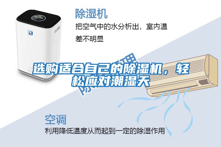 選購適合自己的除濕機，輕松應對潮濕天