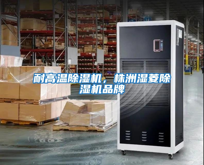 耐高溫除濕機(jī)，株洲濕菱除濕機(jī)品牌
