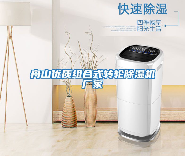 舟山優(yōu)質組合式轉輪除濕機廠家