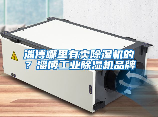 淄博哪里有賣除濕機的？淄博工業除濕機品牌