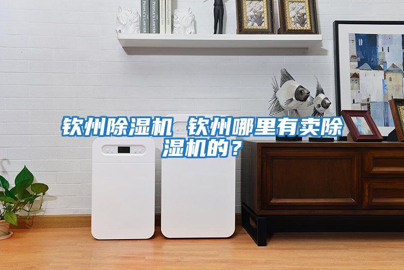 欽州除濕機(jī) 欽州哪里有賣除濕機(jī)的？