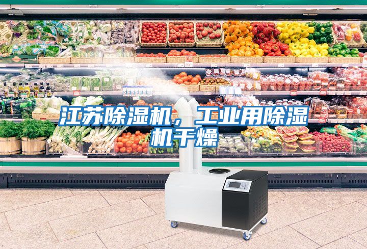 江蘇除濕機，工業用除濕機干燥