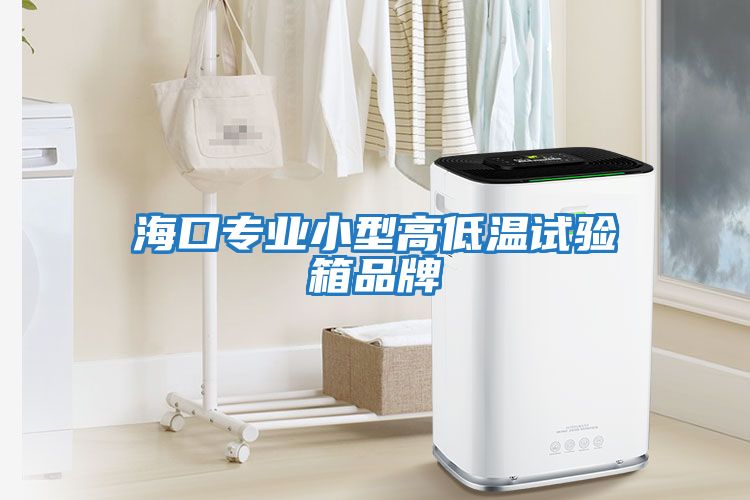 ?？趯I小型高低溫試驗箱品牌