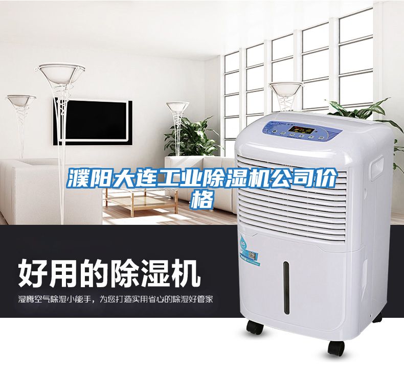 濮陽大連工業(yè)除濕機公司價格